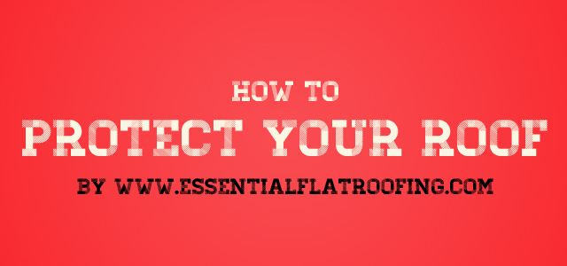 How to Protect Your Roof [Infographic]