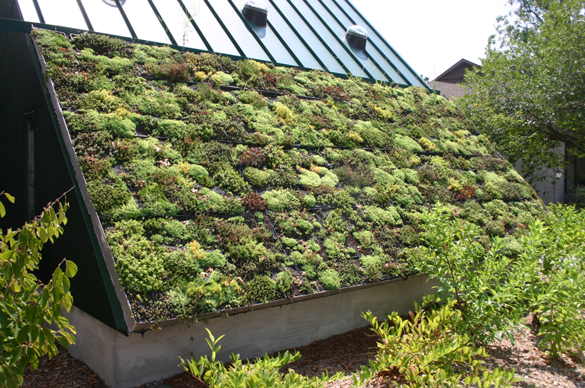 What is a Living Roof?